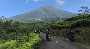 Navigate MAX Sumatera Pagar Alam