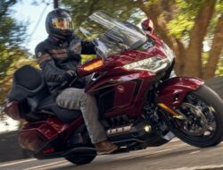 Honda Gold Wing 50