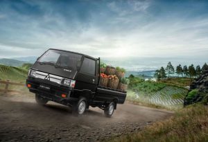 Mitsubishi L300 Konsumen
