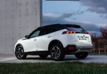 Peugeot Layani After Sales