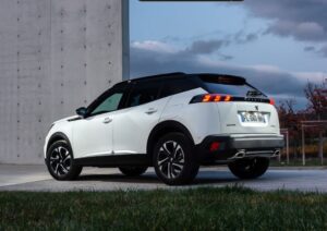 Peugeot Layani After Sales