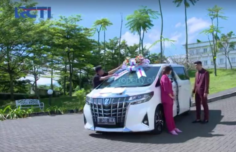 ikatan cinta alphard