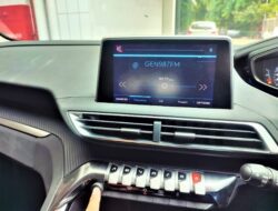 Radio Peugeot Standby