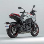 Suzuki-Katana-back