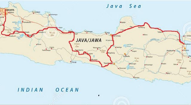 Tarwi rute