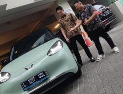 Wuling Binguo Arista