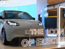 Harga Wuling BinguoEV