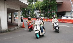 Yamaha STSJ Fazzio Muda