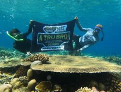 Yamaha Maxi Day Banyuwangi