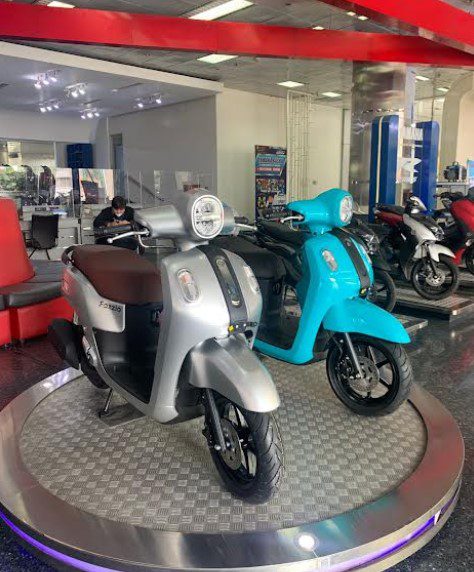 Yamaha STSJ Fazzio