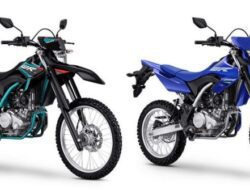 Grafis Yamaha WR155