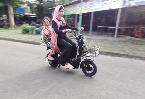 Viar Yuris E Bike